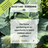 Use Gardening to teach your children BYG 2